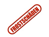 Frostschaden
